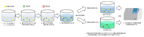 精子抗酸化力検査